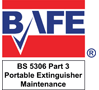 BAFE SP101/ST104, Maintenance of Portable Extinguisher